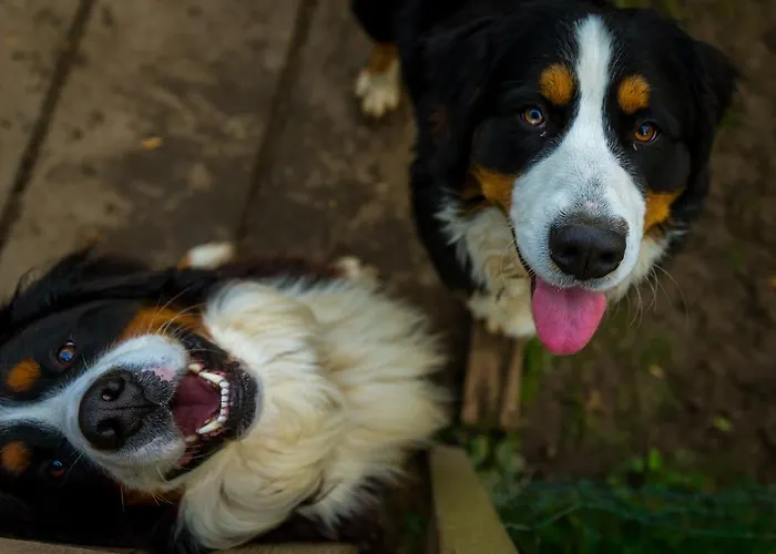 De Cantarel Hotel Sint-Pieters-Voeren