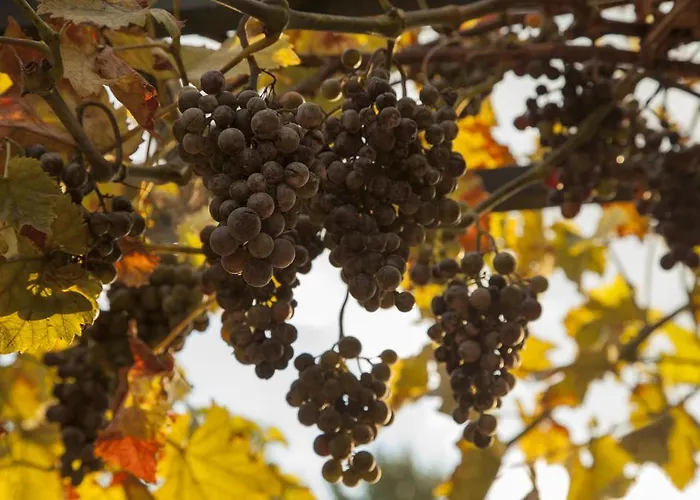 Hotel De Cantarel Sint-Pieters-Voeren