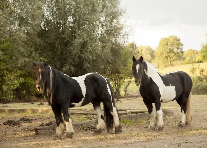 De Cantarel Sint-Pieters-Voeren